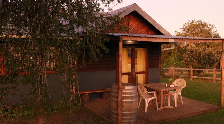 Peace of Eden ~ Vegan Forest Escape