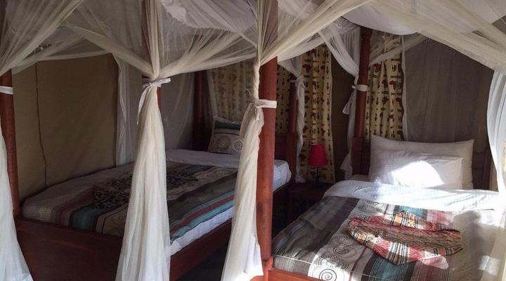 Serengeti Acacia Bliss Luxury Tented Camp