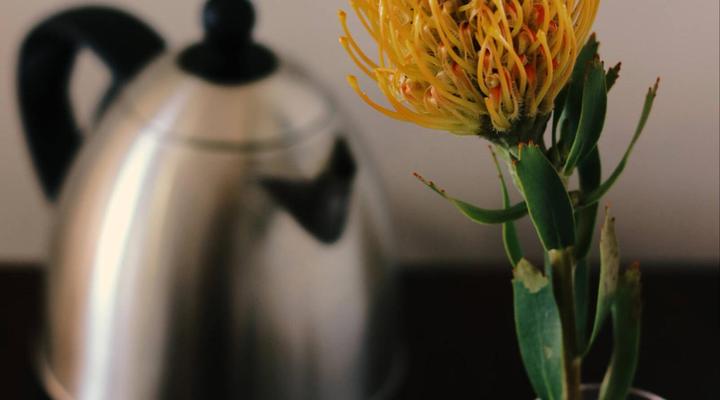 Sea Whisper Self-Catering