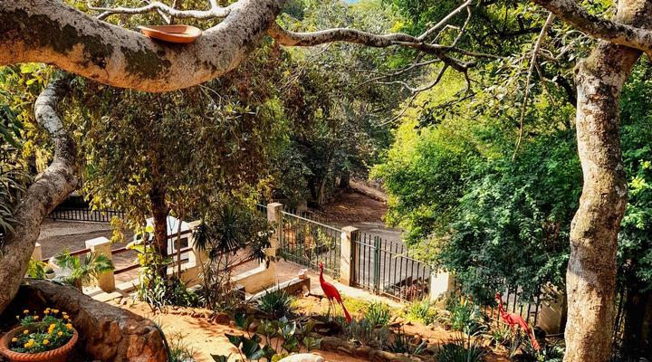 The Healing Hill Guesthouse