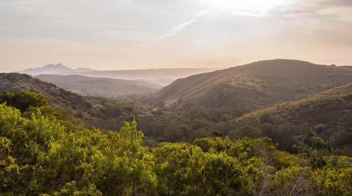 Pabala Private Nature Reserve