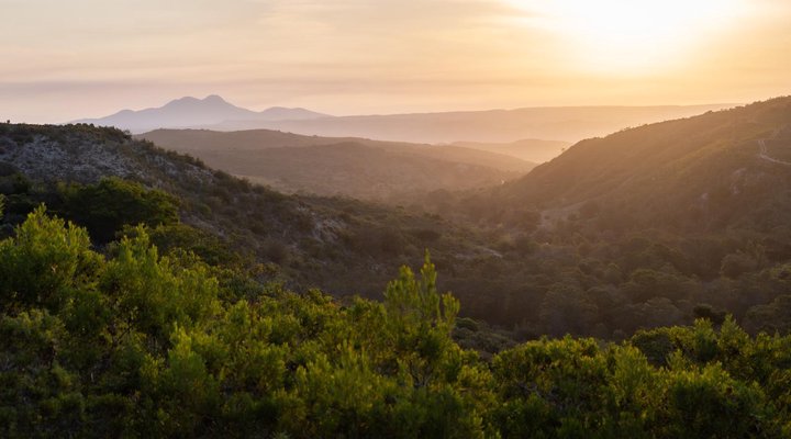 Pabala Private Nature Reserve
