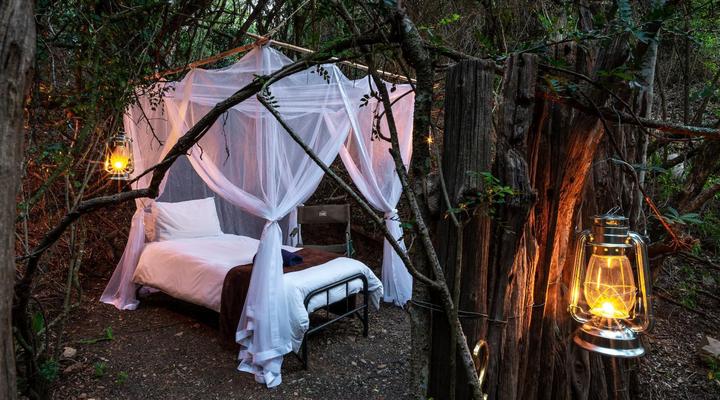 Bellevue Forest Reserve