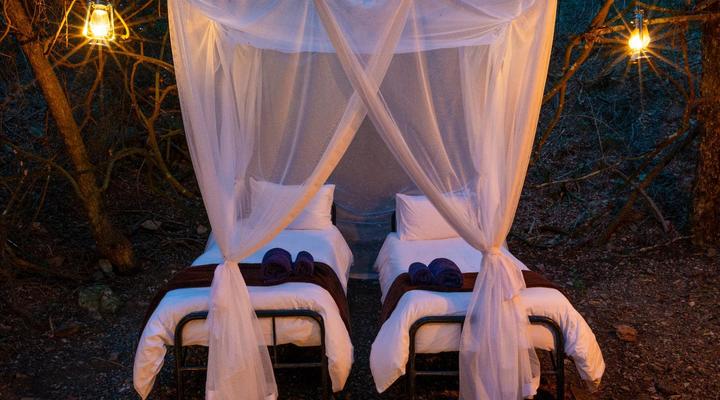 Bellevue Forest Reserve