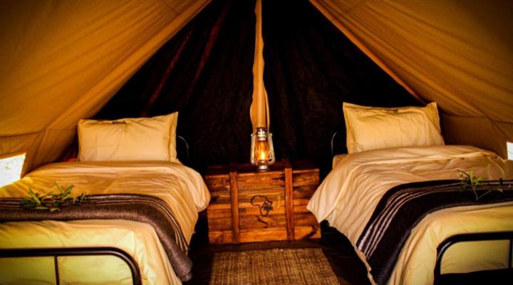 Somkhanda Big 5 Game Reserve