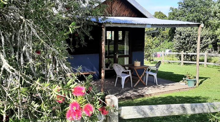 Peace of Eden ~ Vegan Forest Escape