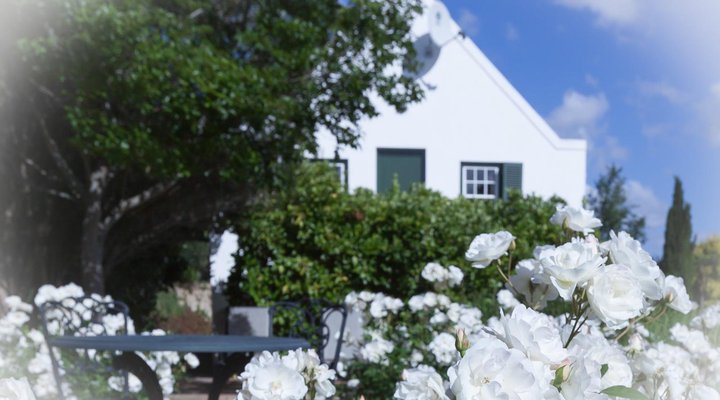 Sanddrif Guest Farm - Dup