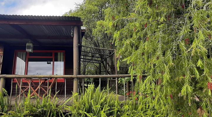 Peace of Eden ~ Vegan Forest Escape