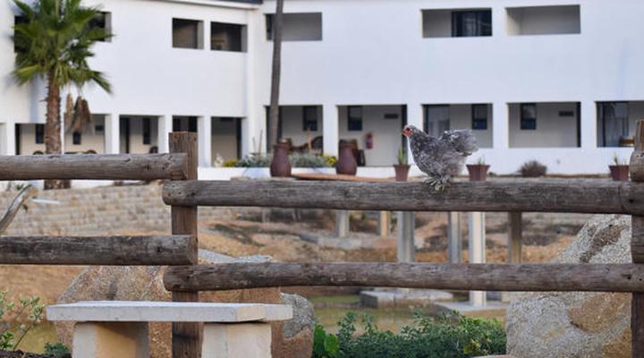 Middelplaas Paarl Guesthouse