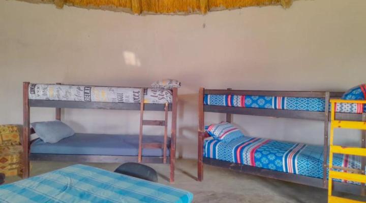 Downtown Accommodation and Fisheries