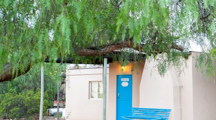 Willemsrivier Trekpad Guest Houses