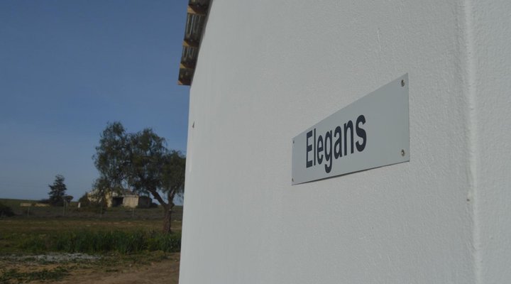 Willemsrivier Trekpad Guest Houses