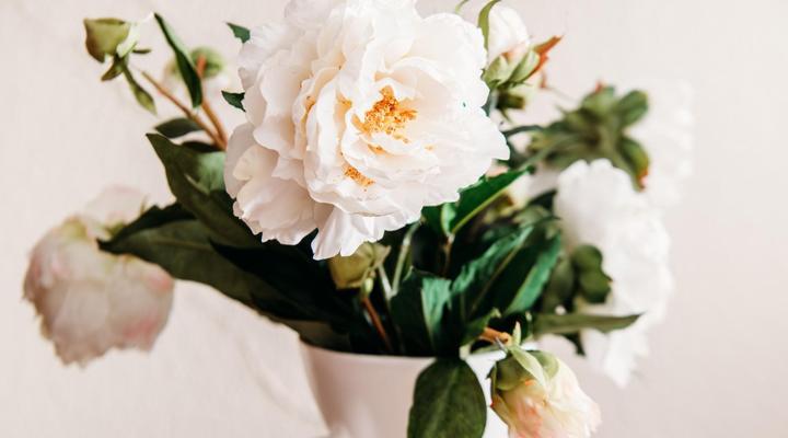 Grace View Guest House