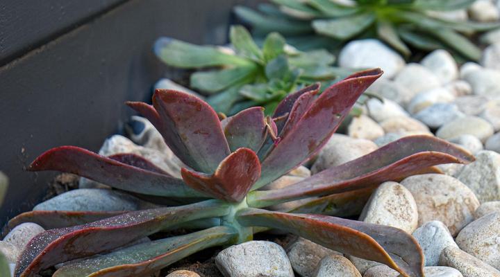 Velddrif Riverside Guesthouse