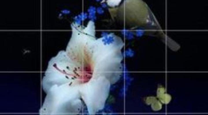 Die Heerenhuys Guest Suites