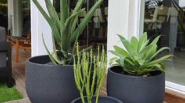 Die Heerenhuys Guest Suites