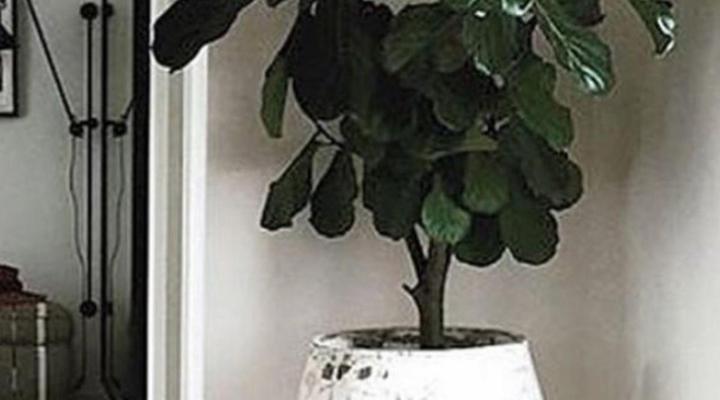 Die Heerenhuys Guest Suites