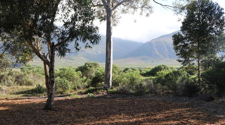 Rivers End Farm Stanford