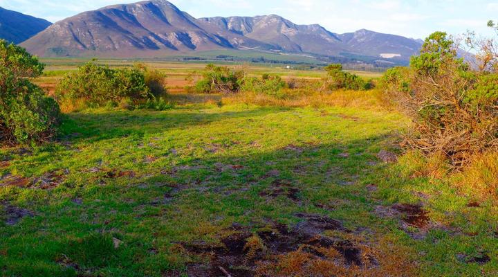 Rivers End Farm Stanford