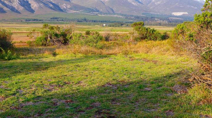 Rivers End Farm Stanford