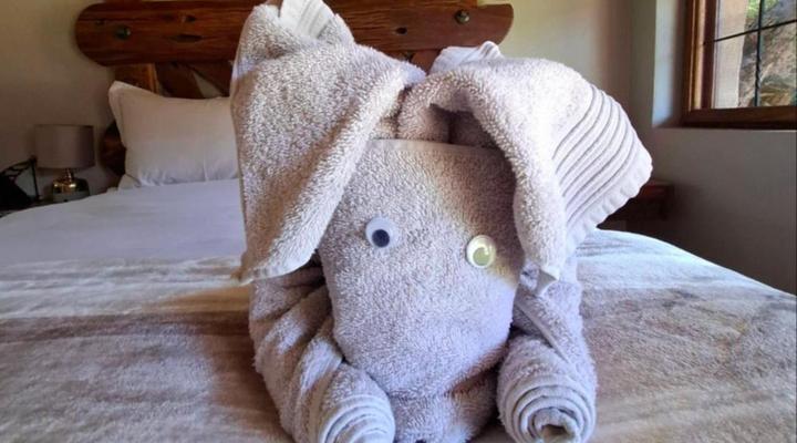 Rocking Giraffe Bush Lodge