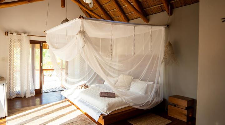 Sia Sente Estate Mozambique