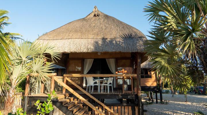 Sia Sente Estate Mozambique