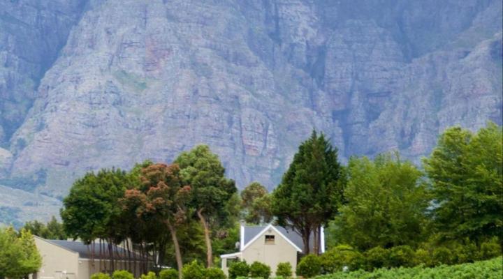 Alluvia Boutique Winery