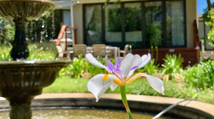 Alluvia Boutique Winery