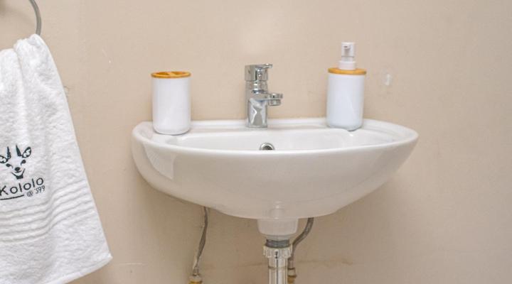 Kololo at 399 Guesthouse & Conference