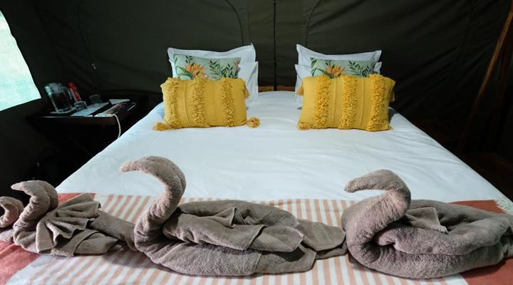 Gorongosa Wild Camp