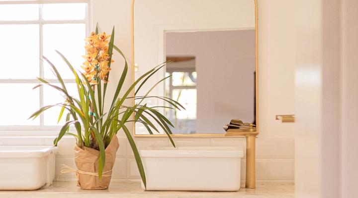 Middelpunt Branch Pepper