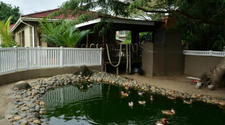 Dumehlezi Self Catering