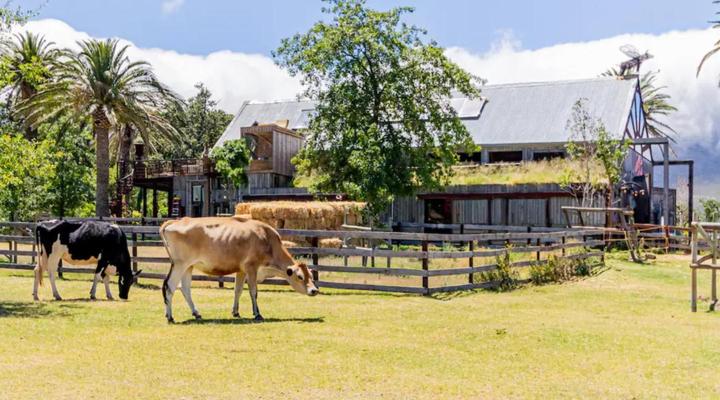 Farm Sanctuary SA