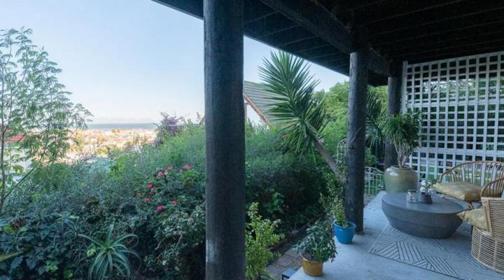 Cape Weaver Muizenberg