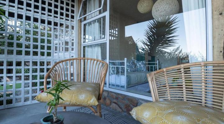 Cape Weaver Muizenberg