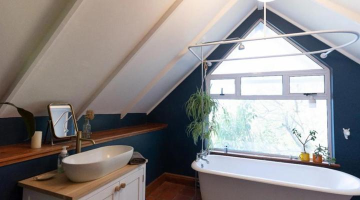 Cape Weaver Muizenberg