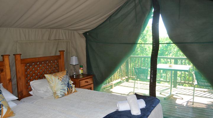 Inkwenkwezi Private Game Reserve