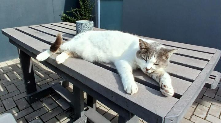 Namaste & Wanderlust Apartments