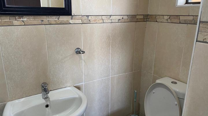 Noah's Accommodation