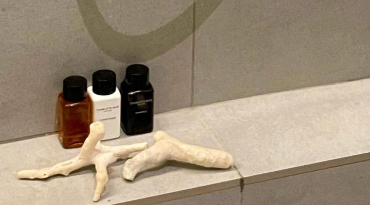 Muizenberg Luxury Apartment