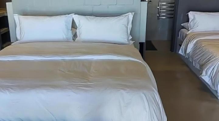 The Magical Mongoose