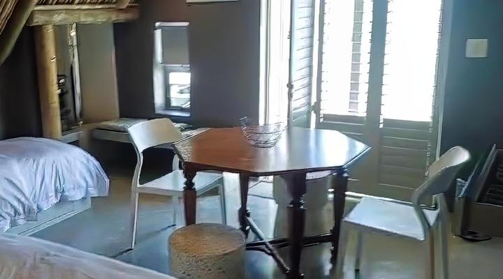 The Magical Mongoose