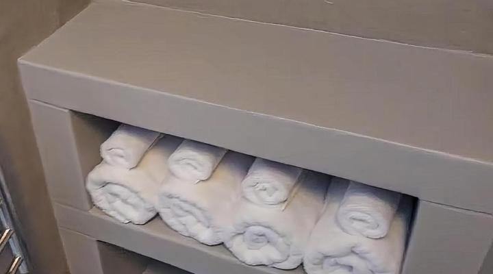 The Magical Mongoose