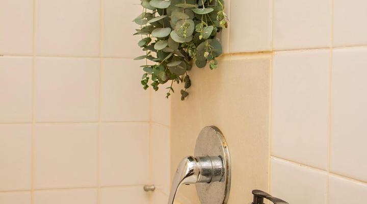 Guppy Huys Oceanfront Bungalow