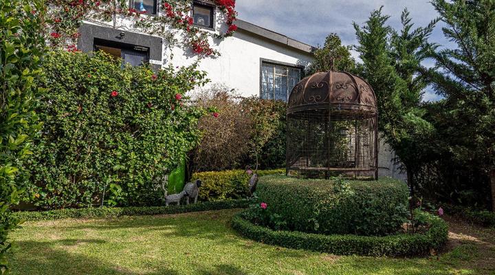 Sir Napier Boutique Guest House