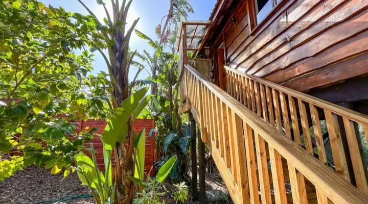 Adventurer's Escape HQ