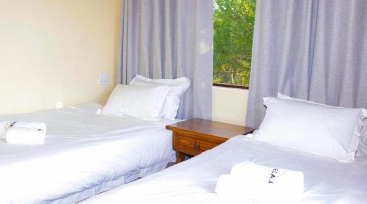 Mela Luxury Game Lodge