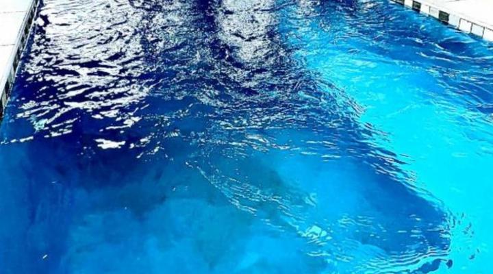 Bush Paradise Vacations