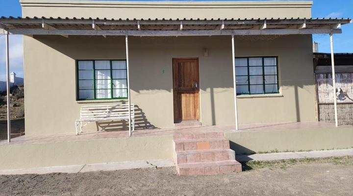 Olive Grove Guest Farm